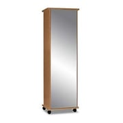 Mirrored Shoe Cabinet in Natural Beige Color