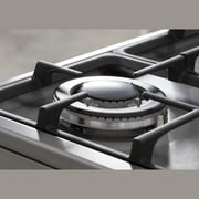 Terim 4 Gas Burner Cooker TERGC66ST