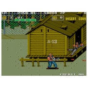 Nintendo Switch SNK 40th Anniversary Collection Game