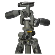 Vanguard Alta Pro 2+ 263AP Aluminum Tripod W/3 Way Fluid Panhead & Dual Telescopic Handles