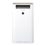 Sharp Air Purifier With Humidifier KCG60SAW