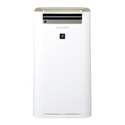 Sharp Air Purifier With Humidifier KCG60SAW