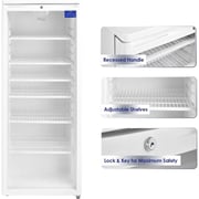 Super General Single Glass Bottle Cooler 248 Litres SGSC256