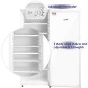 Super General Single Glass Bottle Cooler 248 Litres SGSC256