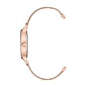 Anne Klein AK3220RGRG Rose Gold Quartz Ladies Watch
