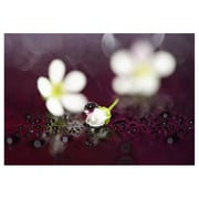 Sony FE 90mm f/2.8 Macro G OSS Lens SEL90M28G