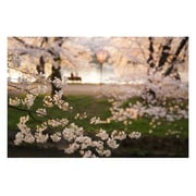 Sony Planar T FE 50mm f/1.4 ZA Lens SEL50F14Z