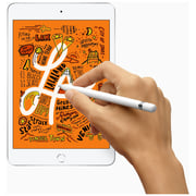 iPad mini (2019) WiFi 64GB 7.9inch Gold