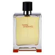 Hermes Terre D'Hermes For Men 100ml Eau de Toilette