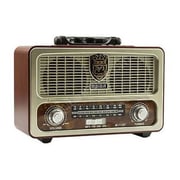 Meier M-111BT Portable Radio