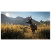 PS4 The Hunter Call Of The Wild Game