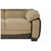 Pan Emirates Agastya 2 Seater Sofa