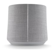 Harman Kardon Citation Subwoofer - Grey