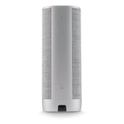 Harman Kardon Citation Surround Speaker - Grey