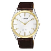 Citizen AR3074-03A Eco Drive Men's Watch