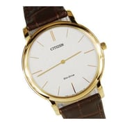 Citizen AR3074-03A Eco Drive Men's Watch