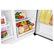 LG Refrigerator Side By Side Fridge 679 Litres GRB257KQDV Mega Capacity Inverter Linear Compressor Smart Diagnosis