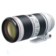 Canon EF 70-200mm f/2.8L IS III USM Lens