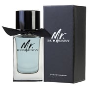 Burberry Mr Burberry Perfume For Men 100ml EDP