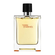 Hermes Terre D'Hermes Men's Perfume 200ml EDT