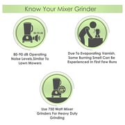 Havells SPRINT 3 In 1 Mixer Grinder Grey/Green