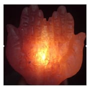 Himalyan Salt Crystal Hand Shape Lamp With Wire and LED Bulb