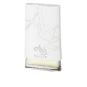 Lomani Silver EDT Men 100ml