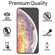 Whitestone Screen Protector for Apple iPhone XS Max