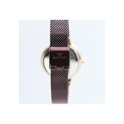 Spectrum Explorer Mesh Band WOMEN's Brown Watch - S25177L-3
