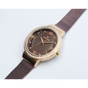Spectrum Explorer Mesh Band WOMEN's Brown Watch - S25177L-3