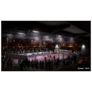 PS4 FIFA 20 Game