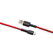 Xiaomi Mi Braided USB Type-C Cable 0.1M - Red