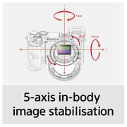 Sony ILCE6600MB a6600 Mirrorless Digital Camera Black + Sony E 18-135mm f/3.5-5.6 OSS Lens