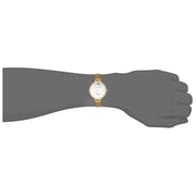 Omax Glamour Series Gold Mesh Analog Watch For Women GMA01G61Y