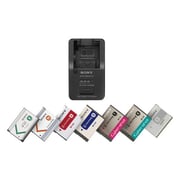 Sony BCTRX Multi Battery Charger