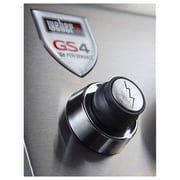 Weber Genesis II E-310 GBS 2019 61011185