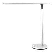 Esky Dual Led Lamp-Eye Protection Lighting - Silver