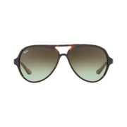 Ray Ban RB4125 710/A6 Havana Unisex Sunglasses