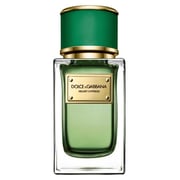 Dolce And Gabbana Velvet Cypress Eau De Parfum Women 150ml