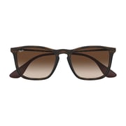 RayBan RB4187-856/13-54 Brown/Tortoise Nylon Men Sunglasses