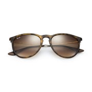 RayBan RB4171-865/13-54 Brown/Tortoise Nylon Unisex Sunglasses