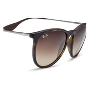 RayBan RB4171-865/13-54 Brown/Tortoise Nylon Unisex Sunglasses