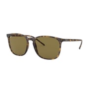 RayBan RB4387-710/73-56 Havana Plastic Men Sunglasses