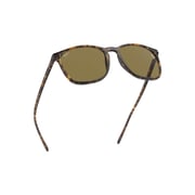 RayBan RB4387-710/73-56 Havana Plastic Men Sunglasses