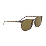 RayBan RB4387-710/73-56 Havana Plastic Men Sunglasses