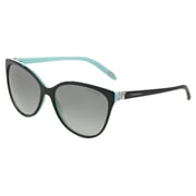 Tiffany Multicolor Plastic Women TF-4089B-80553C-58 Sunglasses