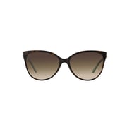 Tiffany Tortoise Plastic Women TF-4089B-81343B-58 Sunglasses