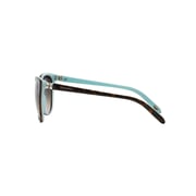 Tiffany Tortoise Plastic Women TF-4089B-81343B-58 Sunglasses