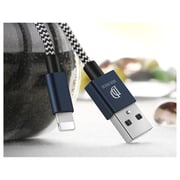 Dux Ducis USB KII Lighting Cable 1m Silver