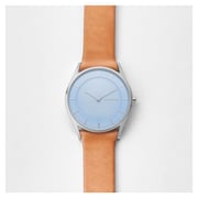 Skagen Holst Slim Brown Leather Women Watch SKW2451